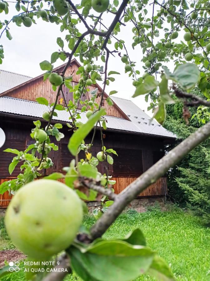 Gospodarstwo Agroturystyczne U Stasikow สปิทโควิเซ ภายนอก รูปภาพ