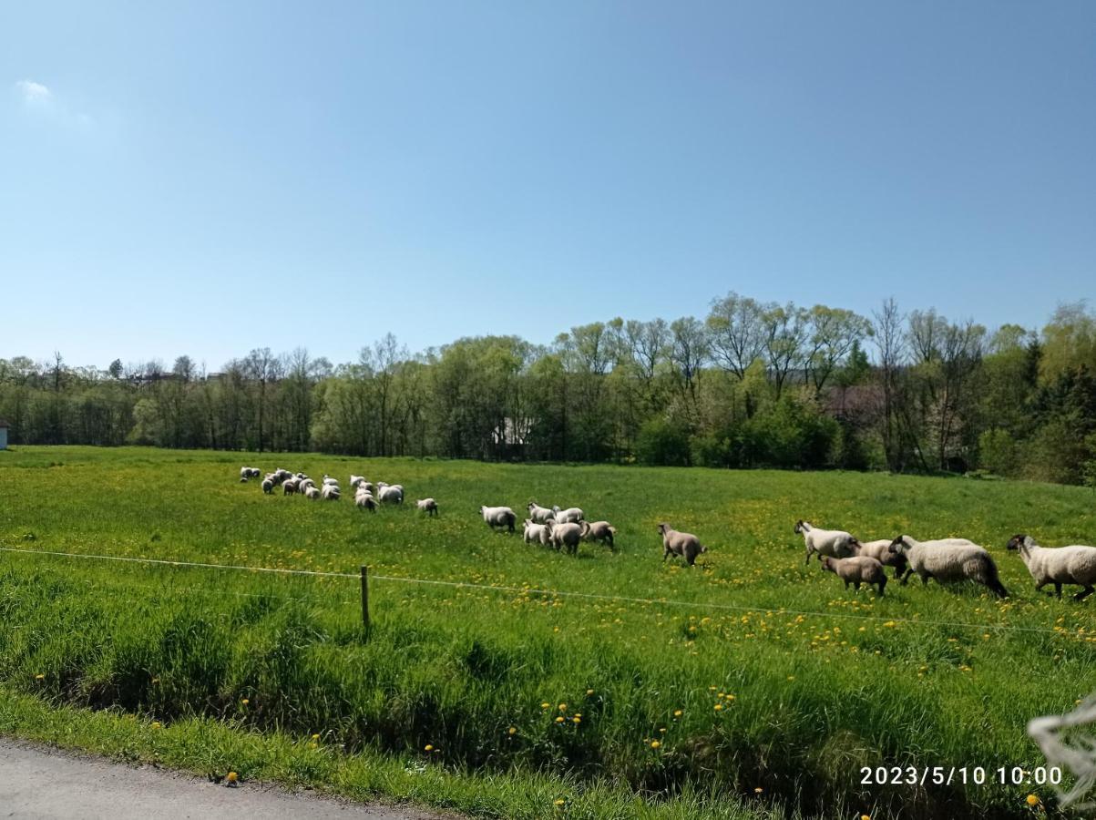 Gospodarstwo Agroturystyczne U Stasikow สปิทโควิเซ ภายนอก รูปภาพ
